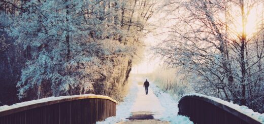 Eine harte Winterlandschaft